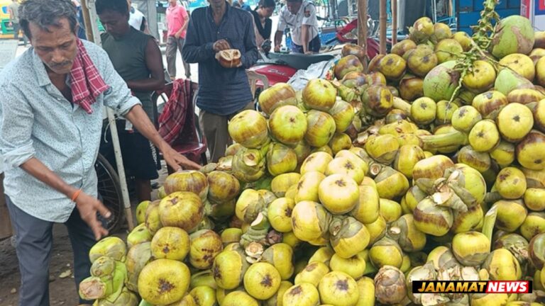 Demand for tender Palm fruits surges amid scorching heat in Tripura |
