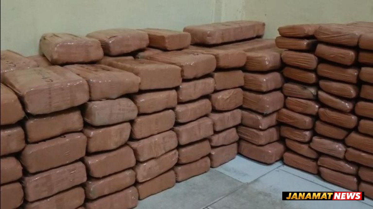Major Ganja smuggling racket busted in Kamalpur; large quantities Ganja seized, driver arrested |