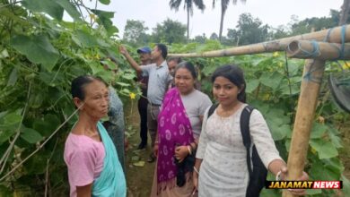 TRESP Jampuijala Drives Agricultural Progress Through Scientific Cucumber Cultivation. -