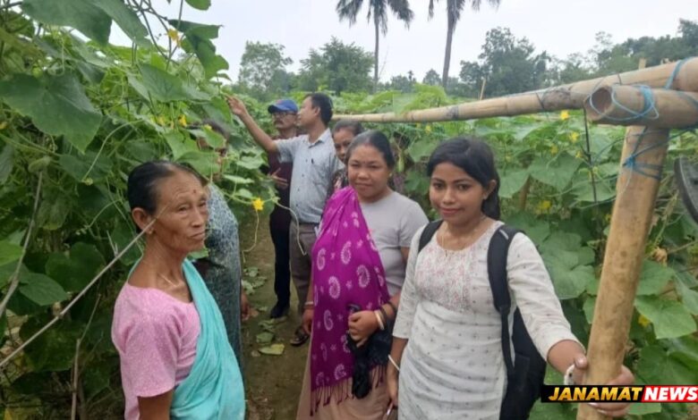 TRESP Jampuijala Drives Agricultural Progress Through Scientific Cucumber Cultivation. -