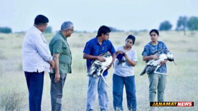 Union Environment Minister Releases Two Male Great Indian Bustards Into The Wild At Desert National Park, Jaisalmer. -