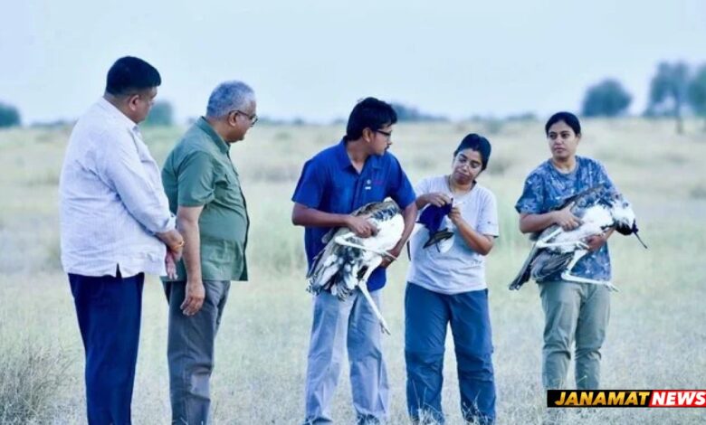 Union Environment Minister Releases Two Male Great Indian Bustards Into The Wild At Desert National Park, Jaisalmer. -