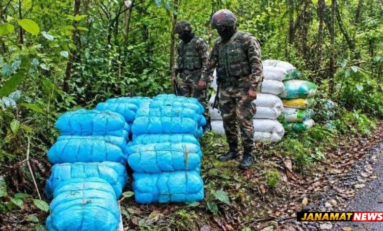 Assam Rifles, Customs seize 501 kg of Ganja worth Rs 2.50 crore in Tripura |