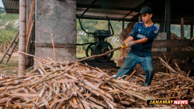 IPL Takes The Lead In Saving Water And Enhancing Farmers’ Income Through Sugarcane Cultivation. -