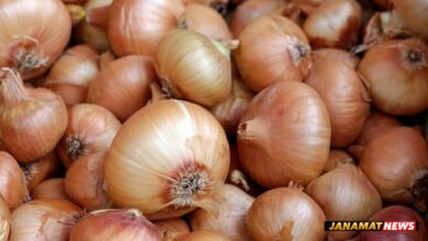 Onion prices set to get relief? Centre sends 440 tonnes to Tripura ahead of festive season |
