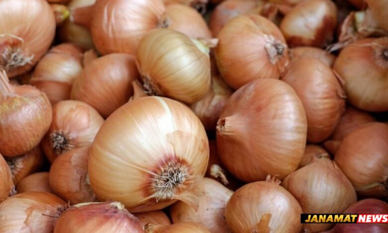 Onion prices set to get relief? Centre sends 440 tonnes to Tripura ahead of festive season |